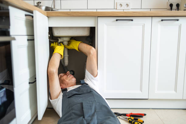 Best Plumbing Services Near Me  in Goulding, FL