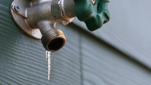 Best Clogged Drain Plumber  in Goulding, FL